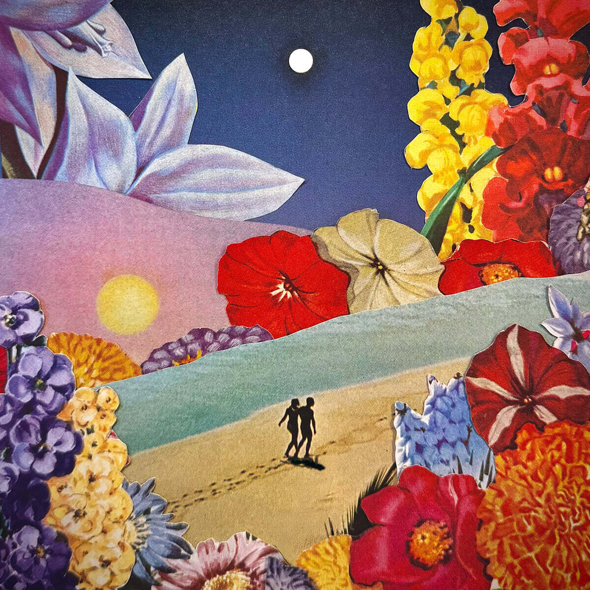 다양성 - 지구에 머무른 나날