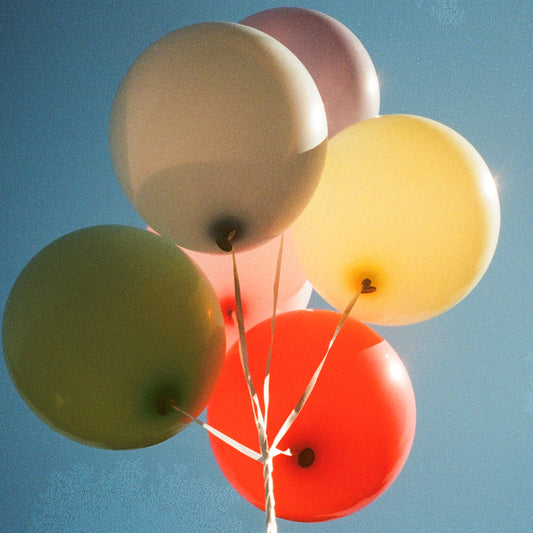 지지 (zZ) 정규앨범 <원>