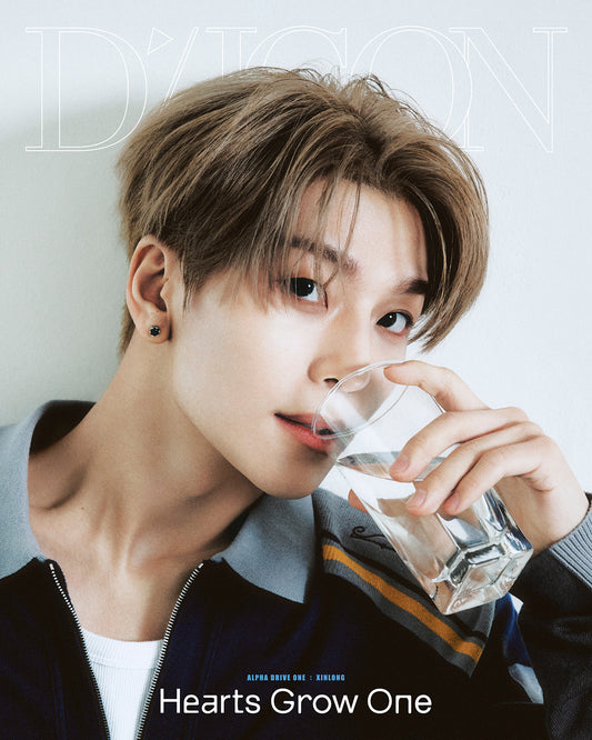 DICON VOLUME N°33 ALPHA DRIVE ONE B-TYPE 6 XINLONG