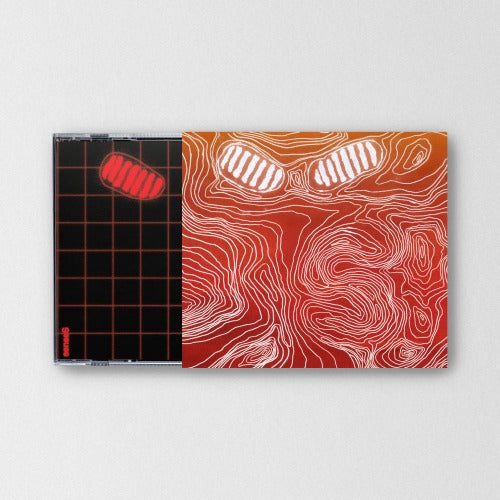 HONG DABIN 'senseS' 
