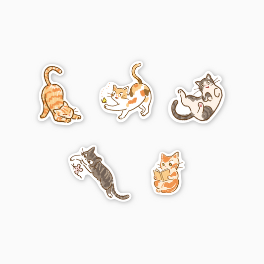 [방과후 태리쌤] 책갈피