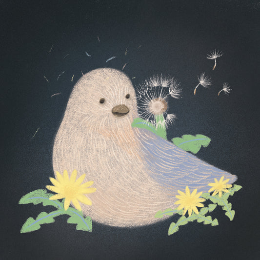 새의 전부 / 노래하는 새