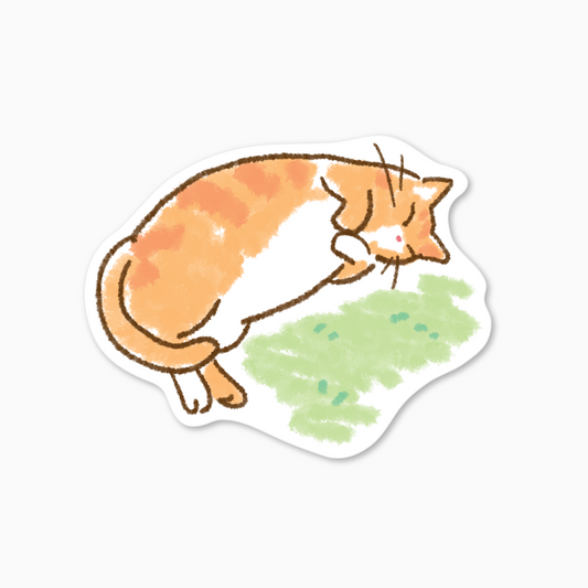 [방과후 태리쌤] 마우스 패드