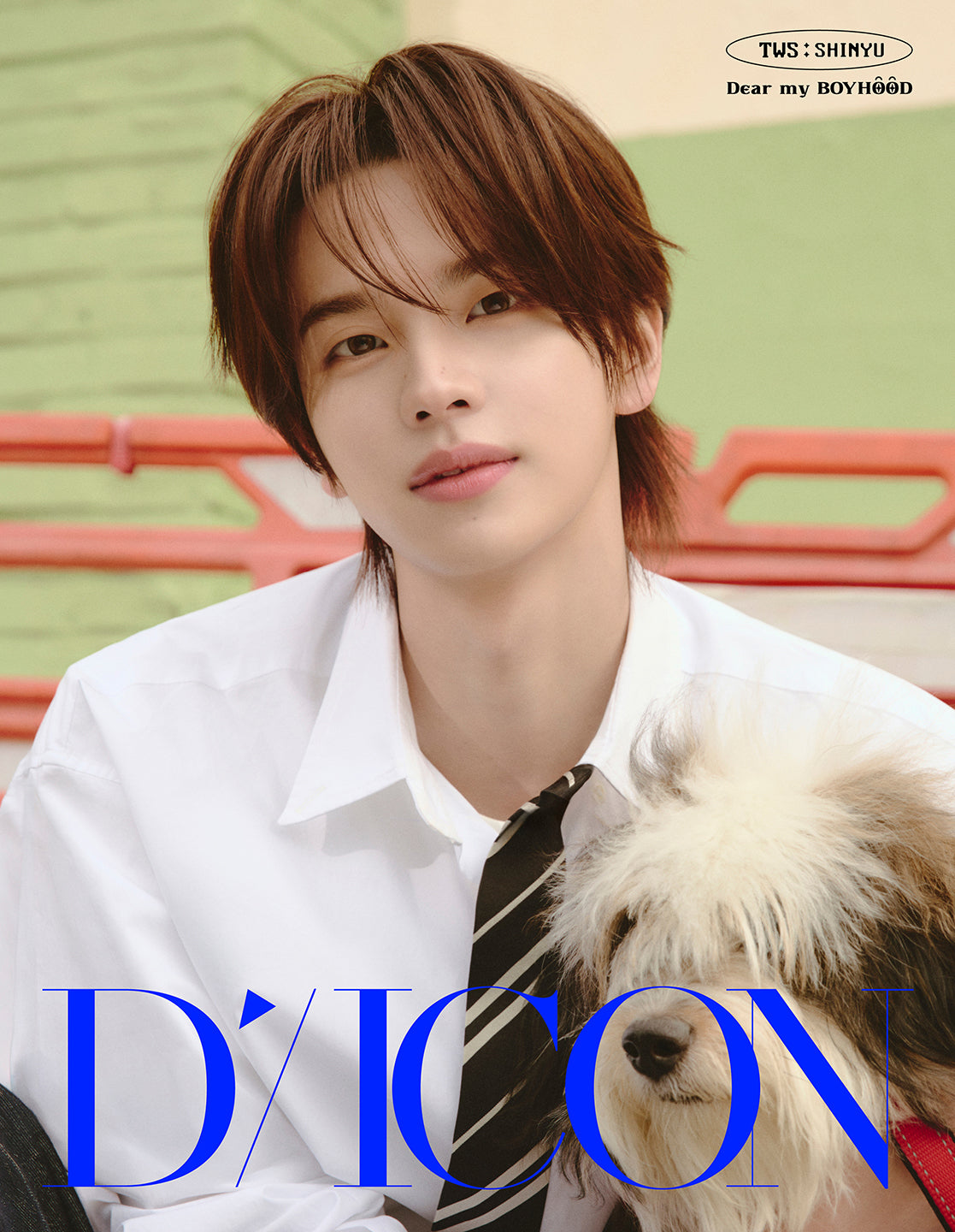 DICON VOLUME N°34 TWS DEAR MY BOYHOOD (A-type) : 01 SHINYU